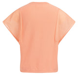 Top with sheer short sleeves
