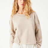 Dantown sweater