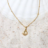 We shell sea necklace gold