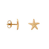 Mini sea star