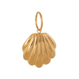 Shell charm